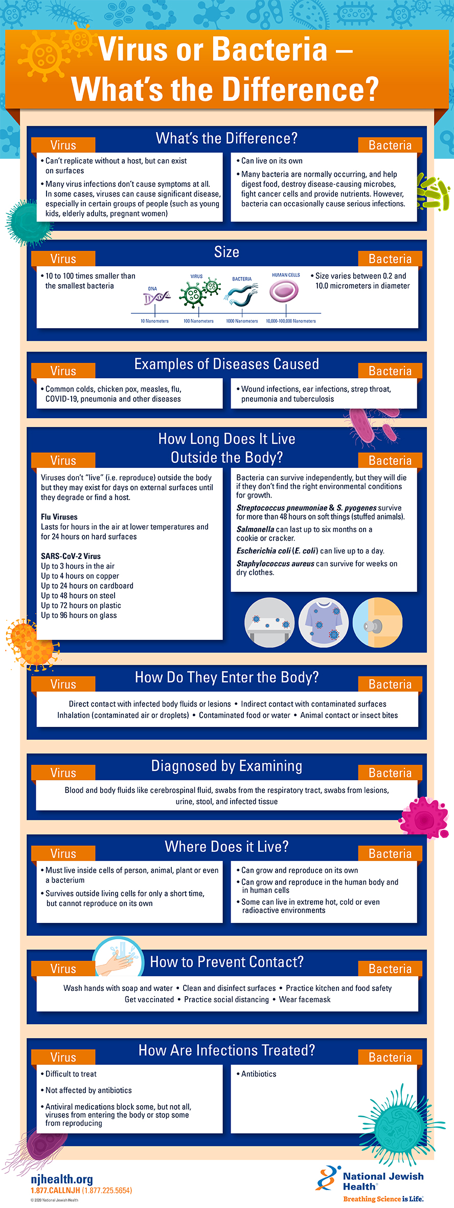 virus-or-bacteria-what-s-the-difference